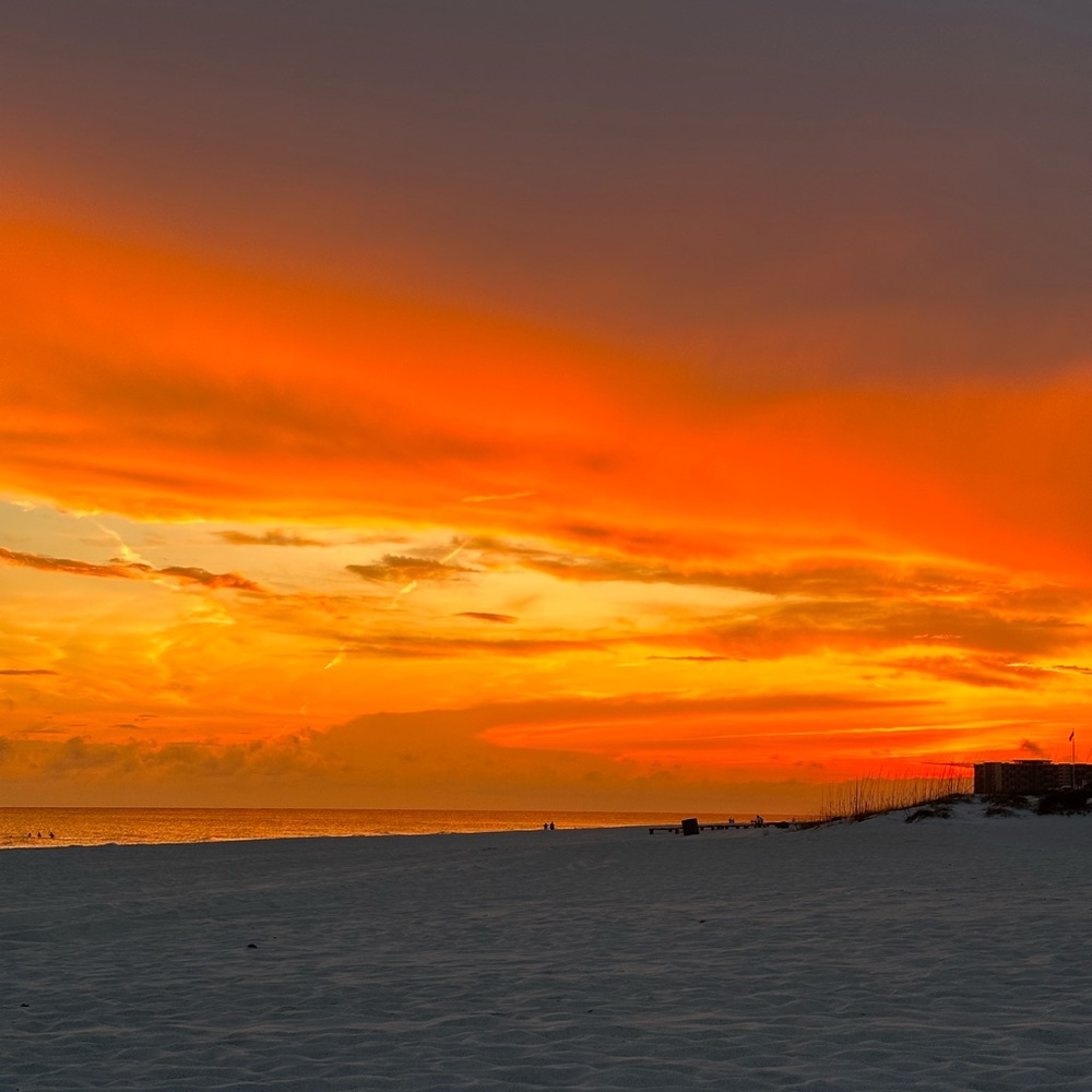 Meet your Posher, Lulu